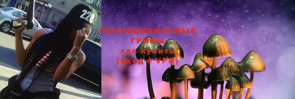 стафф Алзамай