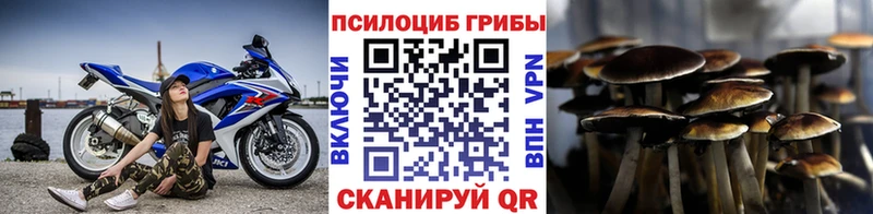 Псилоцибиновые грибы Psilocybine cubensis Лянтор